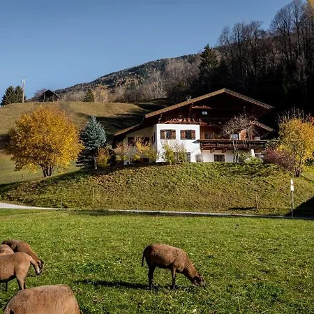 度假居 Pitztal 文斯