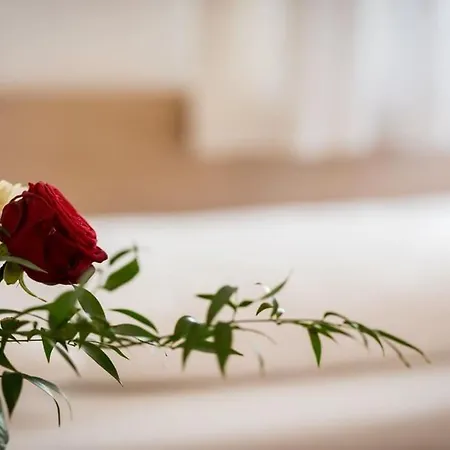 Pitztal Casa de Férias *